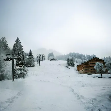 Apartamento L'eden Roc - T2 Confortable Au Pied Des Pistes, Vue Sur La Vallée Saint-Jean-dʼAulps
