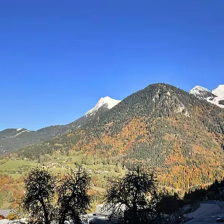 Appartement L'eden Roc - T2 Confortable Au Pied Des Pistes, Vue Sur La Vallée Saint-Jean-dʼAulps